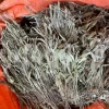 Buy sage dried leaves. Sage leaves for sale. Bulk dried sage leaves. Sage purchase. Dried sage leaves for burning.