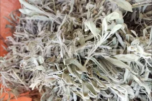 Buy sage dried leaves. Sage leaves for sale. Bulk dried sage leaves. Sage purchase. Dried sage leaves for burning.