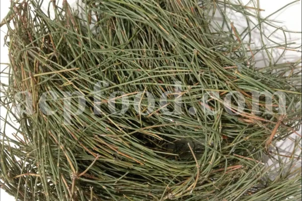 Ephedra Herb (Ma Huang) Aerial Stems – toxic plant material for research