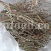 Buy ephedra. Ephedra price. Purchase ephedra. Ma huang for sale. Buy ephedra online. Buy ma huang. Buy ephedra powder. Buy ma huang online. Buy ma huang powder. Ephedra for sale online. Ephedra ma huang for sale. Ephedra order. Ma huang purchase. Purchase ma huang. Ma huang herb for sale. Ma huang tang buy.