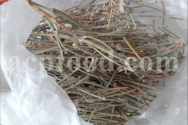 Buy ephedra. Ephedra price. Purchase ephedra. Ma huang for sale. Buy ephedra online. Buy ma huang. Buy ephedra powder. Buy ma huang online. Buy ma huang powder. Ephedra for sale online. Ephedra ma huang for sale. Ephedra order. Ma huang purchase. Purchase ma huang. Ma huang herb for sale. Ma huang tang buy.