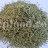 Artemisia dracunculus for sale. Buy artemisia dracunculus tarragon. Tarragon mugwort wholesale. Dried tarragon in bulk. Tarragon for sale. Tarragon price. Dried tarragon tea purchase. Price of tarragon.