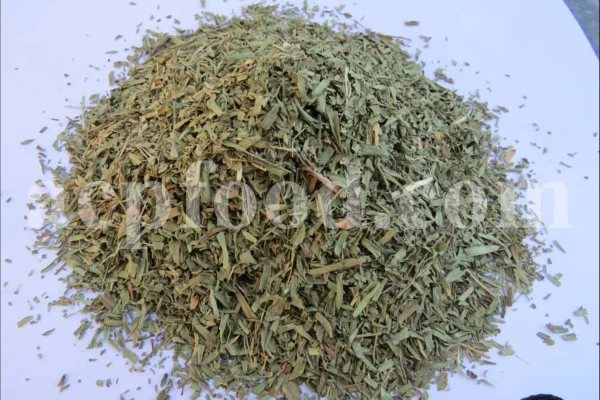 Artemisia dracunculus for sale. Buy artemisia dracunculus tarragon. Tarragon mugwort wholesale. Dried tarragon in bulk. Tarragon for sale. Tarragon price. Dried tarragon tea purchase. Price of tarragon.