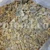 Euphorbia sap for sale. Bulk Euphorbia latex. Buy Euphorbia. Euphorbia milky sap purchase. Spurge for sale.