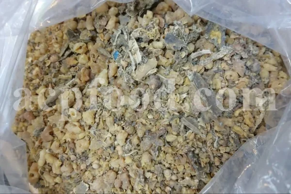 Euphorbia sap for sale. Bulk Euphorbia latex. Buy Euphorbia. Euphorbia milky sap purchase. Spurge for sale.