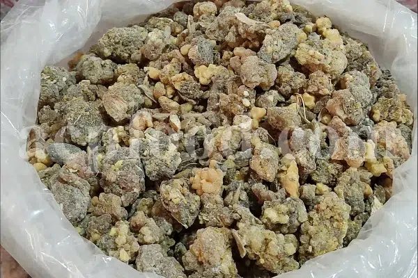 Ferula moschata root wholesale price. Ferula sumbul root purchase. Muskroot in bulk. Buy Sumbul root. Musk root for sale.