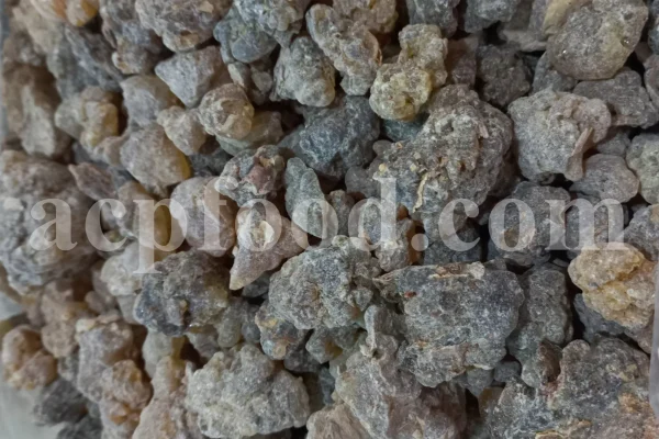 Frankincense wholesale price. Frankincense resin buy. Frankincense resin in bulk. Buy frankincense. Indian frankincense purchase. Boswellia Frankincense wholesale price. Frankincense near me. Boswellia Indian Frankincense. Buy Boswellia serrata olibanum.