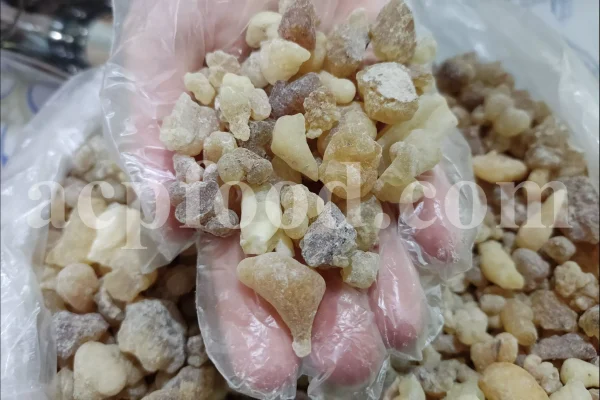 Frankincense wholesale price. Frankincense resin buy. Frankincense resin in bulk. Buy frankincense. Indian frankincense purchase. Boswellia Frankincense wholesale price. Frankincense near me. Boswellia Indian Frankincense. Buy Boswellia serrata olibanum.