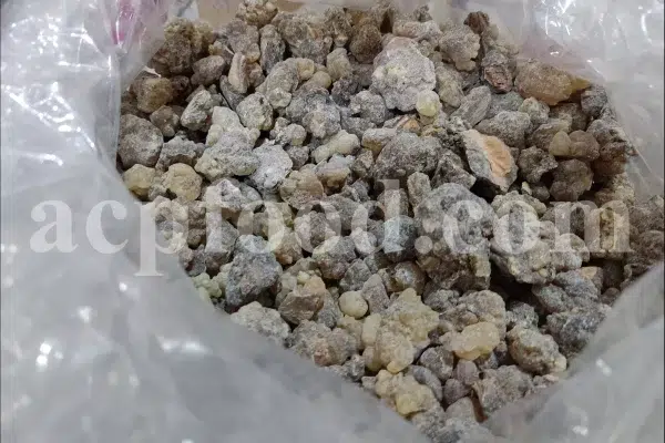 Frankincense wholesale price. Frankincense resin buy. Frankincense resin in bulk. Buy frankincense. Indian frankincense purchase. Boswellia Frankincense wholesale price. Frankincense near me. Boswellia Indian Frankincense. Buy Boswellia serrata olibanum.