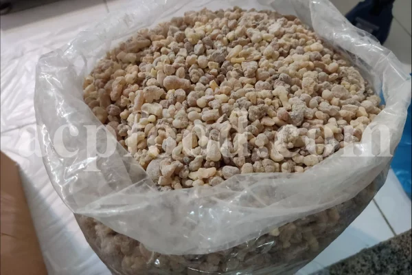 Frankincense wholesale price. Frankincense resin buy. Frankincense resin in bulk. Buy frankincense. Indian frankincense purchase. Boswellia Frankincense wholesale price. Frankincense near me. Boswellia Indian Frankincense. Buy Boswellia serrata olibanum.