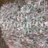 Hyssop wholesale. Hyssopus officinalis dried leaves. Common hyssop dried flowers. Buy hyssop. Hyssop for sale. Hyssop price. Agastache for sale. Hyssop seeds for sale. Buy hyssop near me. Hyssop buy online.