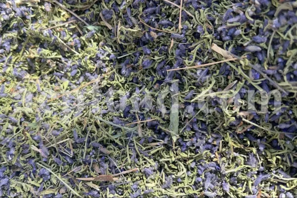 Dried Lavender for sale. Buy dried Lavender. Bulk Lavender. Lavender purchase. Buy Lavender seeds. Lavandula angustifolia for sale. Bulk culinary Lavender. Buy dried Lavender flowers. Buy Lavender to smoke. Lavandula for sale. Lavender to buy dried. English Lavender for sale.