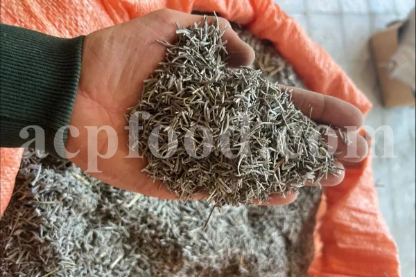 Dried Lavender for sale. Buy dried Lavender. Bulk Lavender. Lavender purchase. Buy Lavender seeds. Lavandula angustifolia for sale. Bulk culinary Lavender. Buy dried Lavender flowers. Buy Lavender to smoke. Lavandula for sale. Lavender to buy dried. English Lavender for sale.