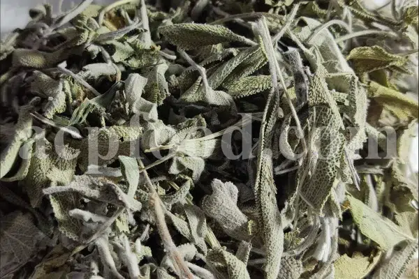 Buy sage dried leaves. Sage leaves for sale. Bulk dried sage leaves. Sage purchase. Dried sage leaves for burning.