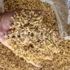 Orange Blossom for sale. Buy Orange Blossom. Orange Blossom buy. Dried Neroli flowers for sale. Citrus Blossom wholesale price. Citrus flowers purchase. Bulk lemon tree flowers. Orange citrus flower for sale. Citrus tree flower wholesale price.