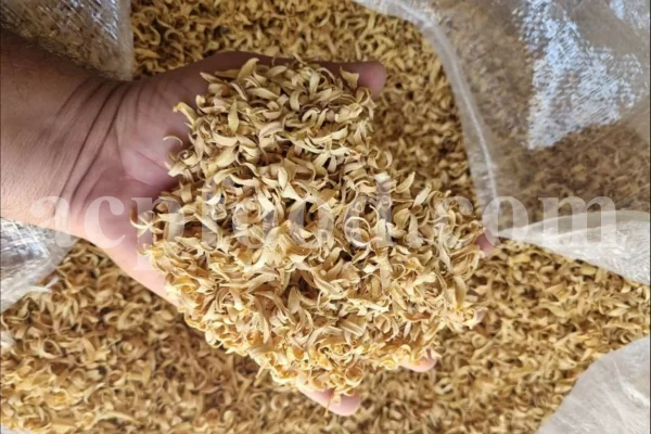 Orange Blossom for sale. Buy Orange Blossom. Orange Blossom buy. Dried Neroli flowers for sale. Citrus Blossom wholesale price. Citrus flowers purchase. Bulk lemon tree flowers. Orange citrus flower for sale. Citrus tree flower wholesale price.