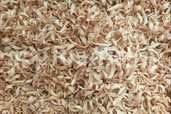 Orange Blossom for sale. Buy Orange Blossom. Orange Blossom buy. Dried Neroli flowers for sale. Citrus Blossom wholesale price. Citrus flowers purchase. Bulk lemon tree flowers. Orange citrus flower for sale. Citrus tree flower wholesale price.