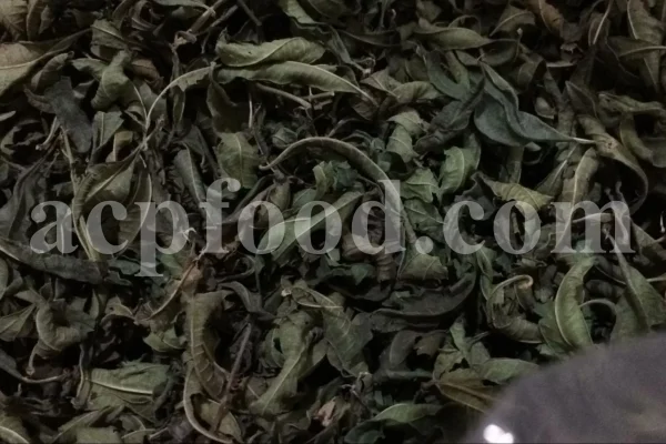 Buy Lemon Verbena. Lemon Verbena for sale. Vervain tea wholesale price. Bulk Lemon Verbena leaves. Cedron tea in bulk. Buy Aloysia citrodora tea. Lemon Beebrush tea for sale. Verbena for sale near me. Dried Verbena buy. Lemon Vervain wholesale price. Verbena dry leaves purchase.