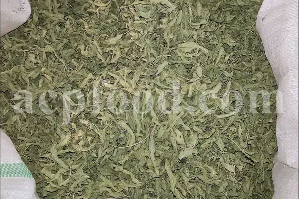 Buy Lemon Verbena. Lemon Verbena for sale. Vervain tea wholesale price. Bulk Lemon Verbena leaves. Cedron tea in bulk. Buy Aloysia citrodora tea. Lemon Beebrush tea for sale. Verbena for sale near me. Dried Verbena buy. Lemon Vervain wholesale price. Verbena dry leaves purchase.