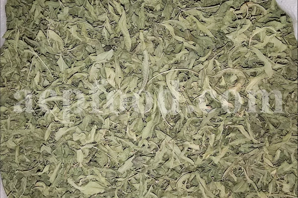 Buy Lemon Verbena. Lemon Verbena for sale. Vervain tea wholesale price. Bulk Lemon Verbena leaves. Cedron tea in bulk. Buy Aloysia citrodora tea. Lemon Beebrush tea for sale. Verbena for sale near me. Dried Verbena buy. Lemon Vervain wholesale price. Verbena dry leaves purchase.