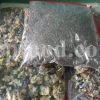 Lovage seeds for sale. Bulk levisticum officinale seeds. Buy lovage seeds. Lovage seeds near me. Bulk maggi plant seeds.