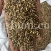 Milk Thistle seed for sale. Buy Milk Thistle seeds. Milk Thistle seeds wholesale price. Bulk Milk Thistle. Organic Milk Thistle seeds. Milk Thistle herbs for sale. Silybum marianum seeds purchase. Buy Blessed Thistle seeds. Cardo Mariano seeds in bulk. Thistle seedling in bulk. Silybum seeds buy. Holy Blessed milk thistle.