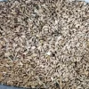 Milk Thistle seed for sale. Buy Milk Thistle seeds. Milk Thistle seeds wholesale price. Bulk Milk Thistle. Organic Milk Thistle seeds. Milk Thistle herbs for sale. Silybum marianum seeds purchase. Buy Blessed Thistle seeds. Cardo Mariano seeds in bulk. Thistle seedling in bulk. Silybum seeds buy. Holy Blessed milk thistle.
