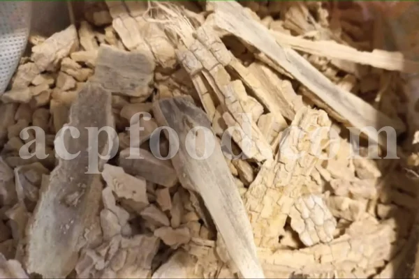 Calotropis gigantea for sale. Buy calotropis latex. Calotropis flowers wholesale. Calotropis gigantea leaves price. Calotropis milkweed for sale. White madar flower.