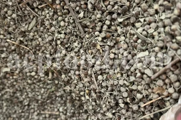Chaste tree berries for sale. Chaste berries wholesale. Buy monk's pepper. Vitex berry in bulk. Chasteberry tea for sale. Bulk vitex chasteberry. Chasteberry vitex agnus castus for sale. Buy chaste berry fruit. Chaste tea for sale. Buy chaste herb tea. Chasteberry for sale. Buy chasteberry.