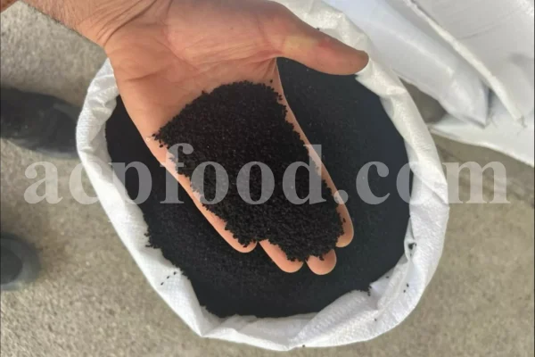 Black seed for sale. Buy black seeds. Bulk black seed. Black cumin seed price. Kalonji seeds. Nigella seeds where to buy. Black seed near me. Black cumin seeds for sale. Nigella sativa seeds for sale. Buy black cumin. Nigella seeds near me. Black cumin seed bulk. Black seed nigella sativa buy. Black seed wholesale. Black cumin seeds price per kg. Black caraway seeds near me. Nigella sativa seeds buy.