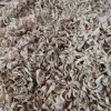 Orange Blossom for sale. Buy Orange Blossom. Orange Blossom buy. Dried Neroli flowers for sale. Citrus Blossom wholesale price. Citrus flowers purchase. Bulk lemon tree flowers. Orange citrus flower for sale. Citrus tree flower wholesale price.