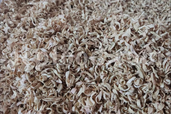 Orange Blossom for sale. Buy Orange Blossom. Orange Blossom buy. Dried Neroli flowers for sale. Citrus Blossom wholesale price. Citrus flowers purchase. Bulk lemon tree flowers. Orange citrus flower for sale. Citrus tree flower wholesale price.