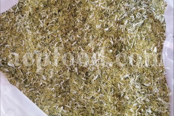 Dried chamomile for sale. Chamomile for sale. Buy chamomile. Bulk chamomile. Bulk chamomile tea. Dried chamomile flowers wholesale price. Buy chamomile tea. Dried chamomile flowers bulk.