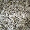 Buy dried nettles. Organic dried nettle leaves for sale. Buy dried nettle tea. Buy stinging nettles. Nettle seeds for sale. Buy stinging nettle tea. Nettle leaves for sale. Bulk stinging nettle. Urtica dioica leaf. Urtica urens buy online.