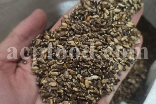 Milk Thistle seed for sale. Buy Milk Thistle seeds. Milk Thistle seeds wholesale price. Bulk Milk Thistle. Organic Milk Thistle seeds. Milk Thistle herbs for sale. Silybum marianum seeds purchase. Buy Blessed Thistle seeds. Cardo Mariano seeds in bulk. Thistle seedling in bulk. Silybum seeds buy. Holy Blessed milk thistle.