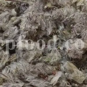 Bulk Persian mountain tea for export showing dried woolly flower clusters and grey-green leaves