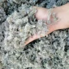 Hand holding dried Persian mountain tea above a larger quantity of the herb