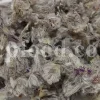 Close-up showing fine pale hairs covering dried Persian mountain tea flower clusters