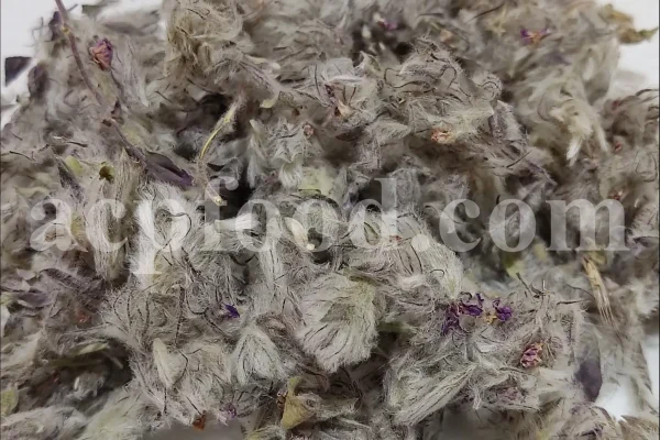 Close-up showing fine pale hairs covering dried Persian mountain tea flower clusters