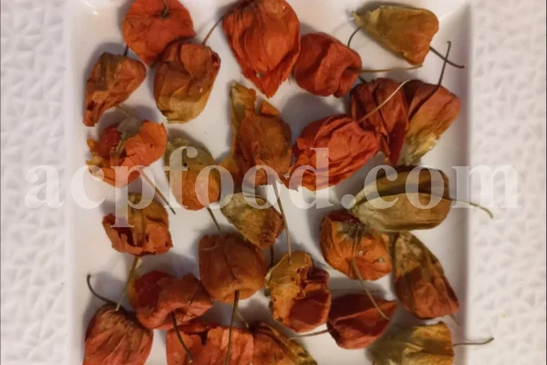 Chinese Lantern for sale. Buy Chinese Lantern. Physalis alkekengi wholesale price. Alkekengi fruit purchase. Alkekengi physalis for sale. Buy Bladder Cherry. Bulk Chinese Lantern Cherry. Ground Cherry Chinese Lantern purchase. Chinese Lantern seedling wholesale price. Physalis alkekengi seeds wholesale price.