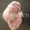 Pink halite wholesale. Stone salt price. Pink salt for sale. Bulk pink salt. Pink salt 1kg price. Rock salt powder. Persian blue salt wholesale. Buy persian blue salt. Persian blue salt for sale. Black stone salt for sale. Buy sea salt in bulk. Coarse sea salt bulk. Buy crystal white salt.