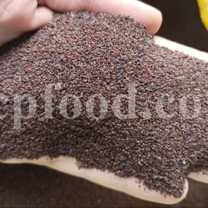 Plantain seeds for sale. Buy plantain seed. Broadleaf plantain seeds wholesale. Bulk Asian plantain seed. Bartang seeds buy. Plantago seed for sale. Buckhorn plantain in bulk. Buy common plantain seed. Plantago major price.