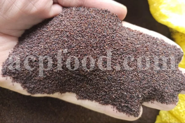 Plantain seeds for sale. Buy plantain seed. Broadleaf plantain seeds wholesale. Bulk Asian plantain seed. Bartang seeds buy. Plantago seed for sale. Buckhorn plantain in bulk. Buy common plantain seed. Plantago major price.