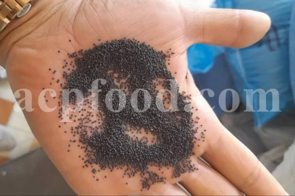 Buy purslane seed. Portulaca oleracea seed price. Common purslane seeds for sale. Pursley seeds wholesale. Portulaca seeds for sale. Duckweed seeds for sale. Portulaca seeds bulk. Buy purslane seeds. Buy portulaca seeds. Khurfa seeds for sale.