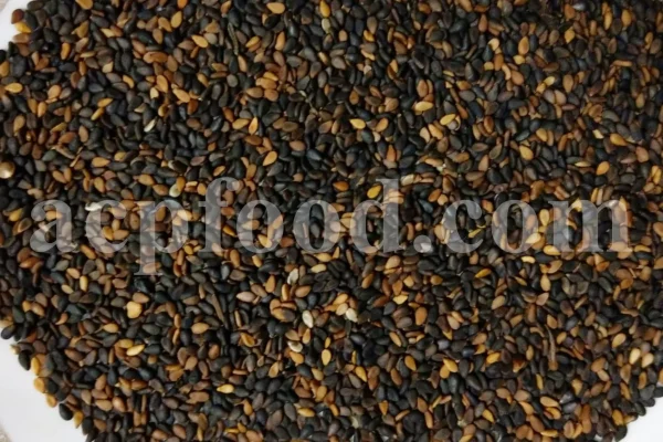 Bulk Sesame seeds. Buy Sesame seeds. Sesame seeds for sale. Brown Sesame seeds wholesale price. Buy Simsim seeds. Bulk roasted white Sesame seeds. Sesame price. Benni seed in bulk. Cost of Sesame seeds. Sesame seeds purchase. Organic Sesame seeds bulk. Sesame seed price. Buy Sesame seeds in bulk. Bulk Sesame. Buy Sesame. Purchase Sesame seeds. Benne seeds for sale. Buy Til seeds. Brown Sesame for sale. Sesame where to buy.