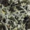 Buy sage dried leaves. Sage leaves for sale. Bulk dried sage leaves. Sage purchase. Dried sage leaves for burning.