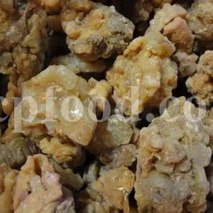 Bulk asafoetida for export in natural dried resin form