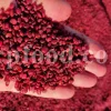 Red Sumac for sale. Buy brown Sumac. Dried Sumac wholesale price. Sumac order. Sumac powder price. Sicilian Sumac in bulk. Sumac Rhus coriaria purchase.