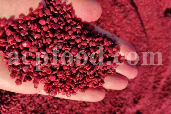 Red Sumac for sale. Buy brown Sumac. Dried Sumac wholesale price. Sumac order. Sumac powder price. Sicilian Sumac in bulk. Sumac Rhus coriaria purchase.