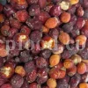 Buy rose hips. Bulk rose hips. Rose hip tea. Rose hip oil bulk. Buy rosehip tea. Buy rosehip powder. Rosehip fruit tea. Buy rosa canina. Buy dog rose. Dog rose petals. Rosa canina buy.